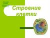 Строение клетки. Изучаем, узнаем, повторяем, познаем