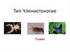Тип Членистоногие. 7 класс