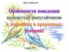 Особенности поведения волнистых попугайчиков в домашних и природных условиях