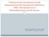 Определение индивидуальной образовательной программы ребёнка с ОВЗ, обучающегося в общеобразовательной школе