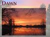Dawn