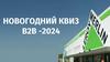 Новогодний квиз B2B - 2024