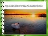 Разнообразие природы Псковского края