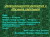 Организационное развитие и обучение персонала. «Техэксперт» - профессиональная справочная система