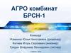 Агро комбинат БРСН-1