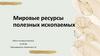 Мировые ресурсы полезных ископаемых