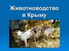 Животноводство в Крыму