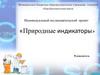 Природные индикаторы. Индивидуальный исследовательский проект