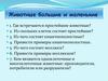 Членистоногие: насекомые, пауки, ракообразные