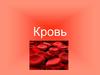 Кровь - особая жидкая соединительная ткань