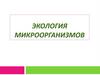 Экология микроорганизмов
