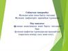 Функция және оның берілу тәсілдері. Функция графиктерін қарапайым түрлендіру