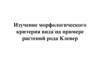 Изучение морфологического критерия вида на примере растений рода Клевер