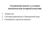 Системный анализ в условиях поведенческой неопределенности