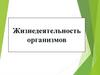 Жизнедеятельность организмов