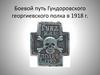 Боевой путь Гундоровского георгиевского полка в 1918 г