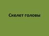 Скелет головы. Череп в целом. Кости, полости, соединения черепа