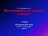 Как ухаживать за кошкой и собакой? Окружающий мир. 1 класс