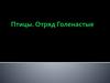 Птицы. Отряд Голенастые