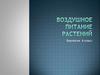 Воздушное питание растений. Фотосинтез
