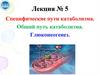 Специфические пути катаболизма. Общий путь катаболизма. Глюконеогенез