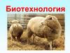 Биотехнология