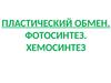 Пластический обмен. Фотосинтез. Хемосинтез