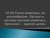 Ткани животных, их разнообразие. Органы и системы органов животных. Организм - единое целое