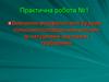 Вивчення морфологічної будови сільськогосподарських рослин за натурними зразками і гербаріями. Практична робота №1