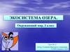Экосистема озера  (3 класс)