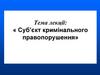 Суб’єкт кримінального правопорушення