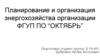 Планирование и организация энергохозяйства организации
