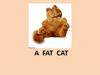 A fat cat