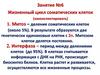 Митоз - деление соматических клеток. Занятие №6