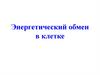 Энергетический обмен в клетке