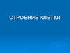 Строение клетки