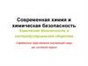 Современная химия и химическая безопасность. Химическая безопасность в постиндустриальном обществе