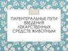 Парентеральные пути введения лекарственных средств животным