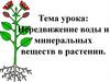 Передвижение воды и минеральных веществ в растении