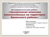 Исследовательская работа "Захоронения японских военнопленных на территории Ванинского района"