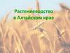 Растениеводство в Алтайском крае