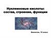 Нуклеиновые кислоты: состав, строение, функции. Биология. 10 класс