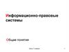 Информационно-правовые системы Общие понятия
