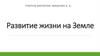 Развитие жизни на Земле
