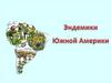 Эндемики Южной Америки
