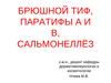 Брюшной тиф, паратифы А и В, сальмонеллёз