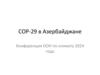 COP-29 в Азербайджане. Конференция ООН по климату 2024 года. Основные факты