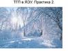 ТГП в ЯЭУ. Практика 2