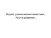 Форма размножения животных. Рост и развитие