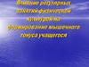 Влияние регулярных занятий физической культурой на формирование мышечного тонуса учащегося